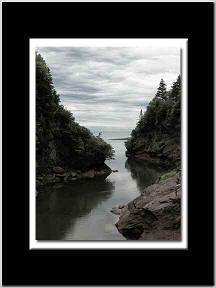 Cove Art