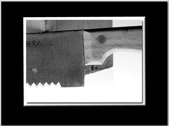 Blade and Shank BW