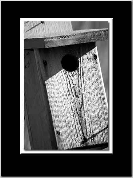 House BW