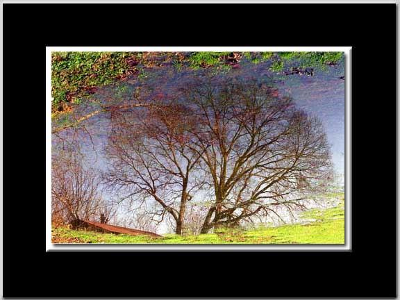 Reflections III