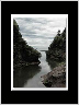 Cove Art