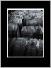 Barrells BW
