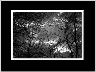 Clouds in the Morning BW