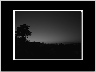 Sunset BW